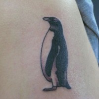 bel pinguino scuro tatuaggio su corpo