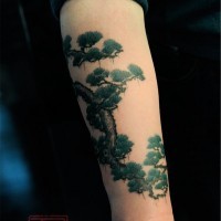 Tatuaje  de árbol con hojas verdes en el antebrazo