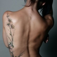 Elegante Kirschblüten Tattoo an Rippen