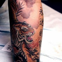 Tatuaje en el antebrazo, tigre feroz y jeroglíficos