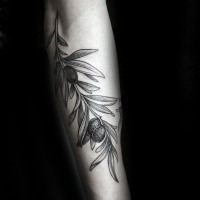 Elegant gray ink olive branch with black olives tattoo on forearm