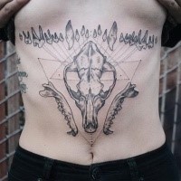 Engraving style black and white belly tattoo of various animal bones