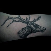 Engraving style black and white forearm tattoo of deer head