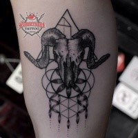 Engraving style black ink arm tattoo of animal skull with ornaments