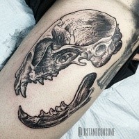 Engraving style black ink broken animal skull tattoo