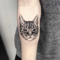 Tatuagem de antebraço de tinta preta de estilo de gravura de cabeça de gato