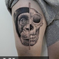 Engraving style black ink half skull half real monkey head tattoo on thigh