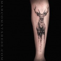 Engraving style black ink leg tattoo of deer