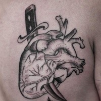 Engraving style black ink scapular tattoo of human heart with knife