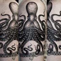 Engraving style black ink shoulder tattoo of octopus and zipper