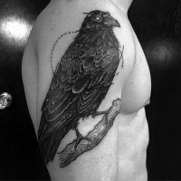 Engraving style black ink shoulder tattoo of crow on tree branch