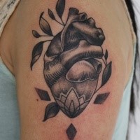 Engraving style black ink shoulder tattoo of human heart with leaves