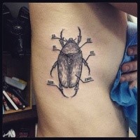 Engraving style black ink side tattoo of big bug with numbers
