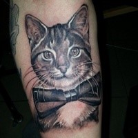 Engraving style colored forearm tattoo of cat with large bow