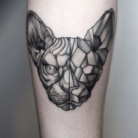 Fantastic dot style leg tattoo of half real half stone cat head