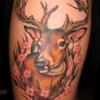 Fantastic natural looking colored sweet deer with flowers tattoo on shoulder