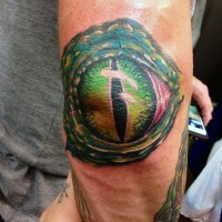 Fantastic painted and colored big alligator eye tattoo on arm