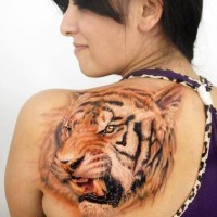 Fantastisch gemalter natürlich aussehender farbiger wütender Tiger Tattoo an der Schulter