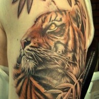 Tatuaje en el brazo, tigre tranquilo realista en trópico