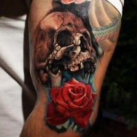 Fantastic realism style arm tattoo of human skull with rose flowers
