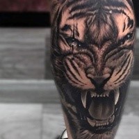 Fantastic realism style colored leg tattoo of tiger head