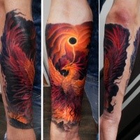 Tatuaggio avambraccio colorato di stile fantasy di un bellissimo uccello fenice