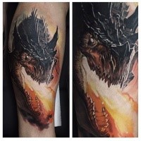 Fantasy style colored tattoo of big dragon with fire breath