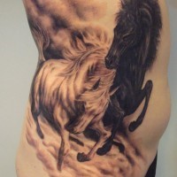 Fighting wild horses  tattoo by viptattoo