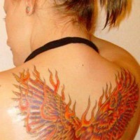 Tatuaggio grande sulla schiena l'uccello giallo rosso