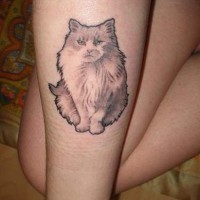 Fluffy gray cat tattoo on arm