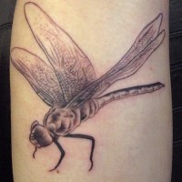 Tatuaje en la pierna, libélula que vuela