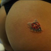 Flying up ladybug tattoo on buttocks