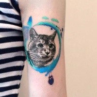 For girls style colored arm tattoo of cat portrait