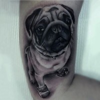 Funny 3D realistic pug dog in boots tattoo on biceps
