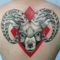 Tatuaje en la espalda,
cabeza de aries bonito en el fondo rojo