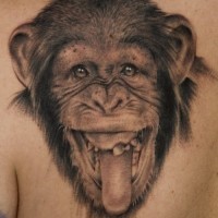 divertente inchiostro grigio testa scimpanze`con lingua cacciata tatuaggio su schiena