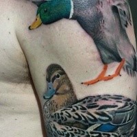 Funny illustrative style shoulder tattoo of ducks