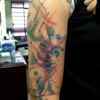 Funny illustrative style shoulder tattoo of cute cats