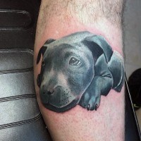 Funny little colored sad puppy tattoo on leg