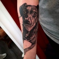 Funny little dog with big eyes portrait tattoo on arm