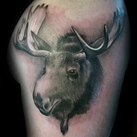 Funny looking detailed black and white elk head tattoo on upper arm