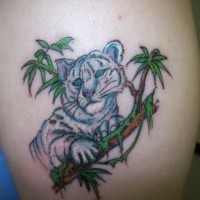 Funny tiny cartoon like colored shoulder tattoo of white tiger baby on tree