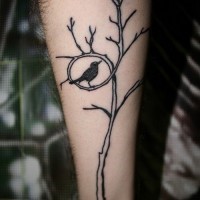 divertente albero e uccello tatuaggio su braccio per uomo