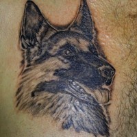 German shepherd ink portrait tattoo