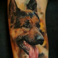 German shepherd tattoo face on hand