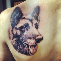 German shepherd tattoo on shoulder blade