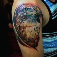 Glorious looking very detailed shoulder tattoo of eagle face