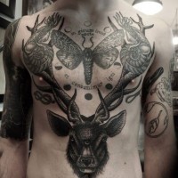 Herrlicher schwarzer massiver Hirschkopf Tattoo an der Brust und Bauch  mit Schriftzug und nächtlicher Schmetterling