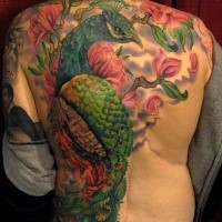 Gorgeous breathtaking painted illustrative style colored large peacock tattoo on whole back with blooming flowers