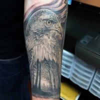 Gorgeous colored very detailed eagle head tattoo on forearm with dark forest